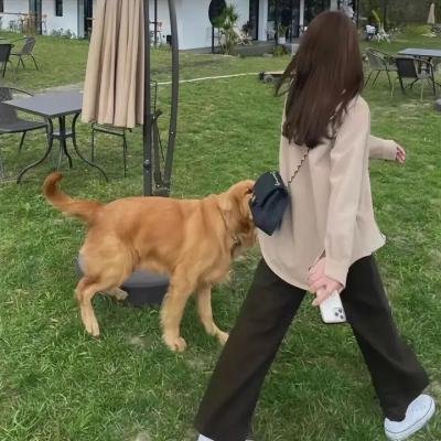 在主的年份